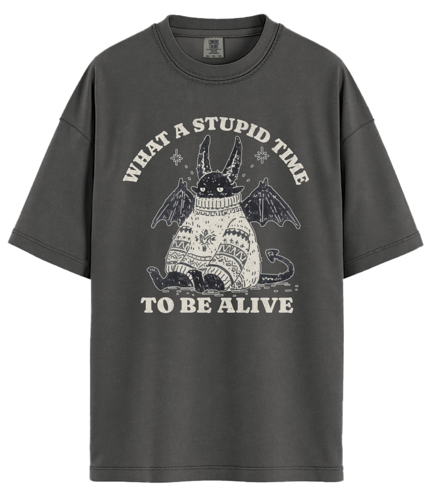 What A Stupid Time Comfort Colors T-Shirt