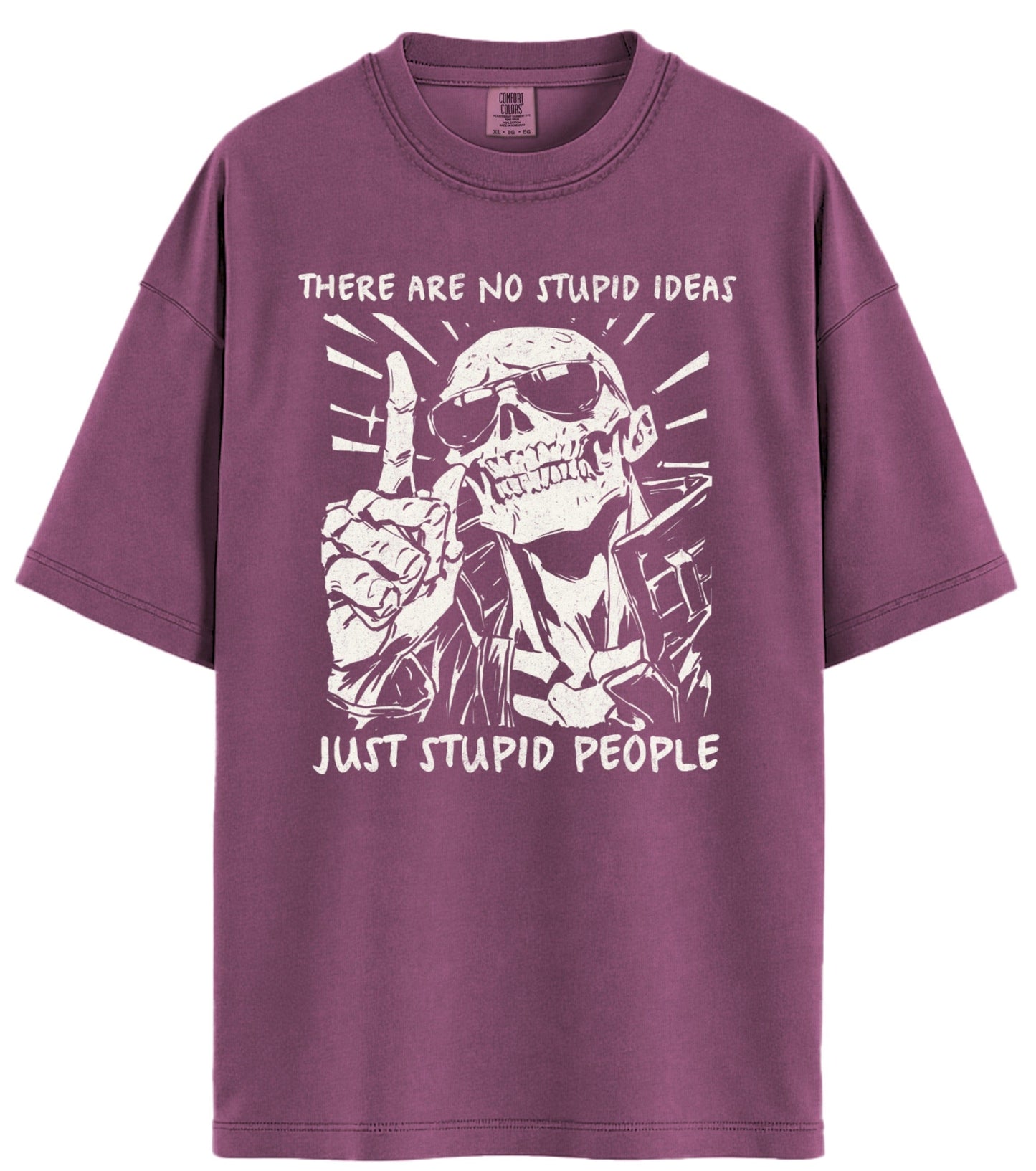 No Stupid Ideas Comfort Colors T-Shirt