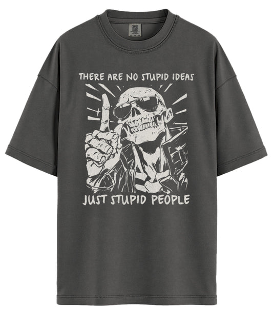 No Stupid Ideas Comfort Colors T-Shirt