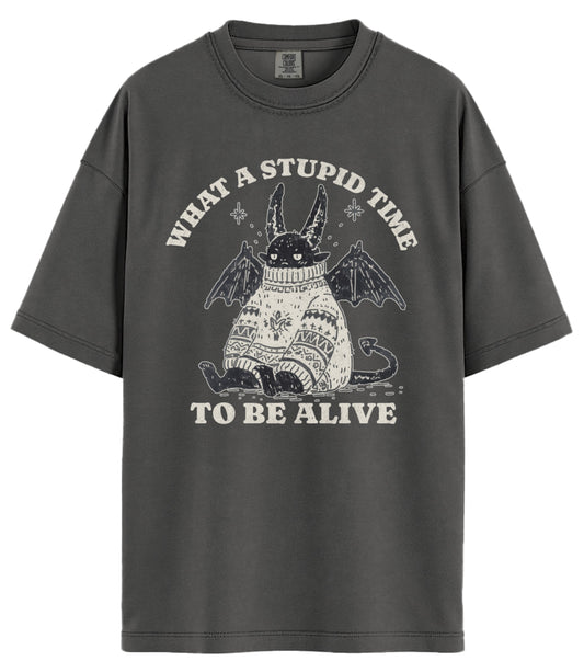 What A Stupid Time Comfort Colors T-Shirt