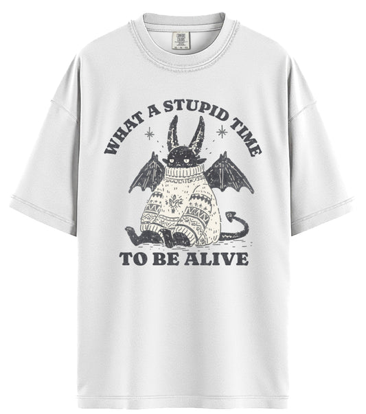 What A Stupid Time Comfort Colors T-Shirt