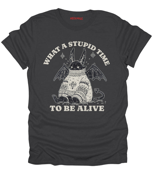 What A Stupid Time T-Shirt