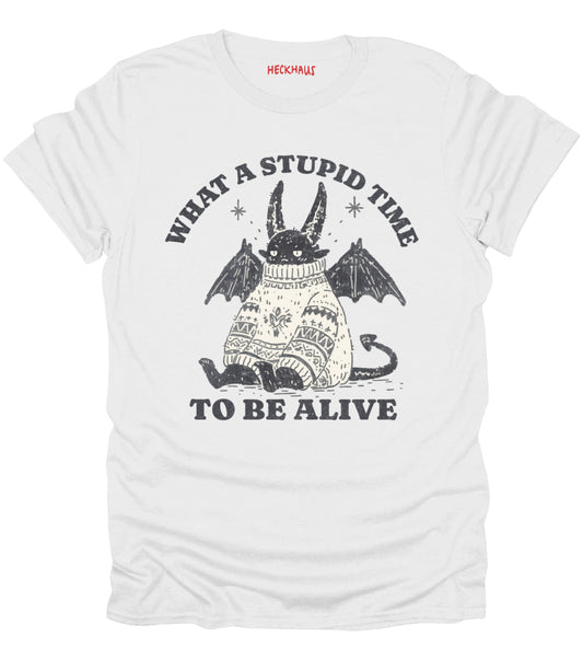 What A Stupid Time T-Shirt